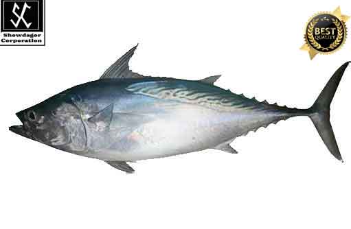 Free HTML5 template by FREEHTML5.co