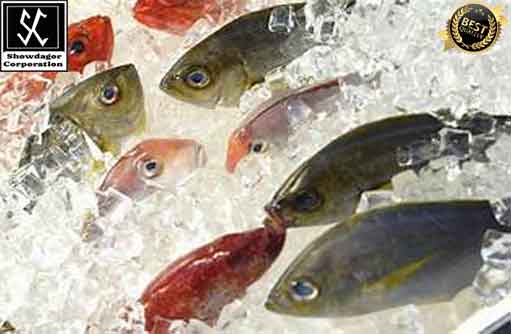 Free HTML5 template by FREEHTML5.co