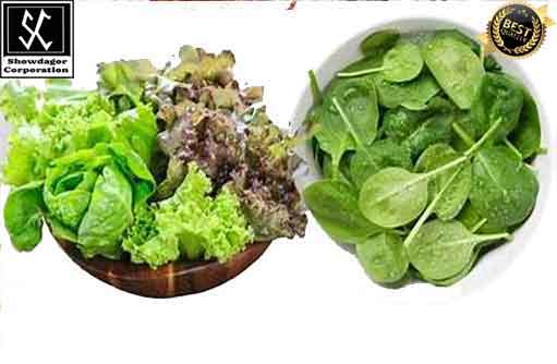 Free HTML5 template by FREEHTML5.co