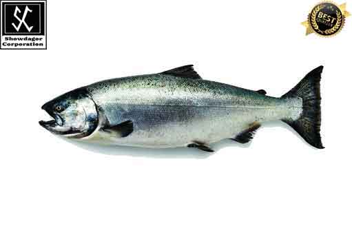 Free HTML5 template by FREEHTML5.co