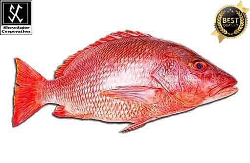 Free HTML5 template by FREEHTML5.co