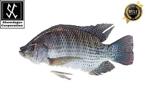 Free HTML5 template by FREEHTML5.co