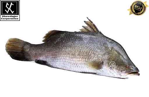 Free HTML5 template by FREEHTML5.co