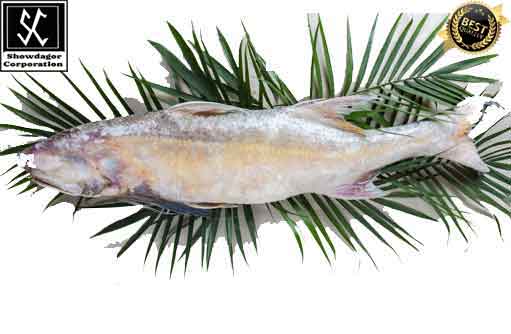 Free HTML5 template by FREEHTML5.co