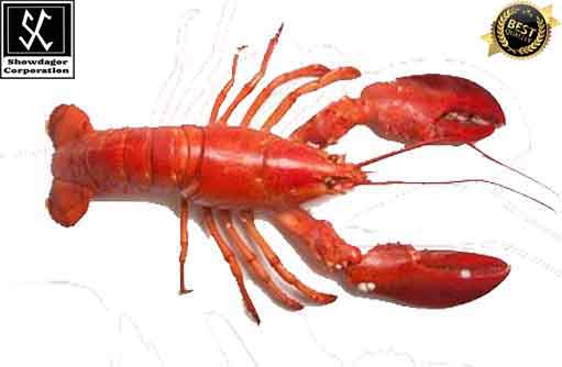 Free HTML5 template by FREEHTML5.co