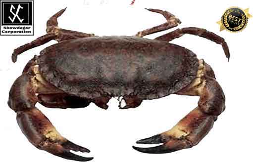 Free HTML5 template by FREEHTML5.co